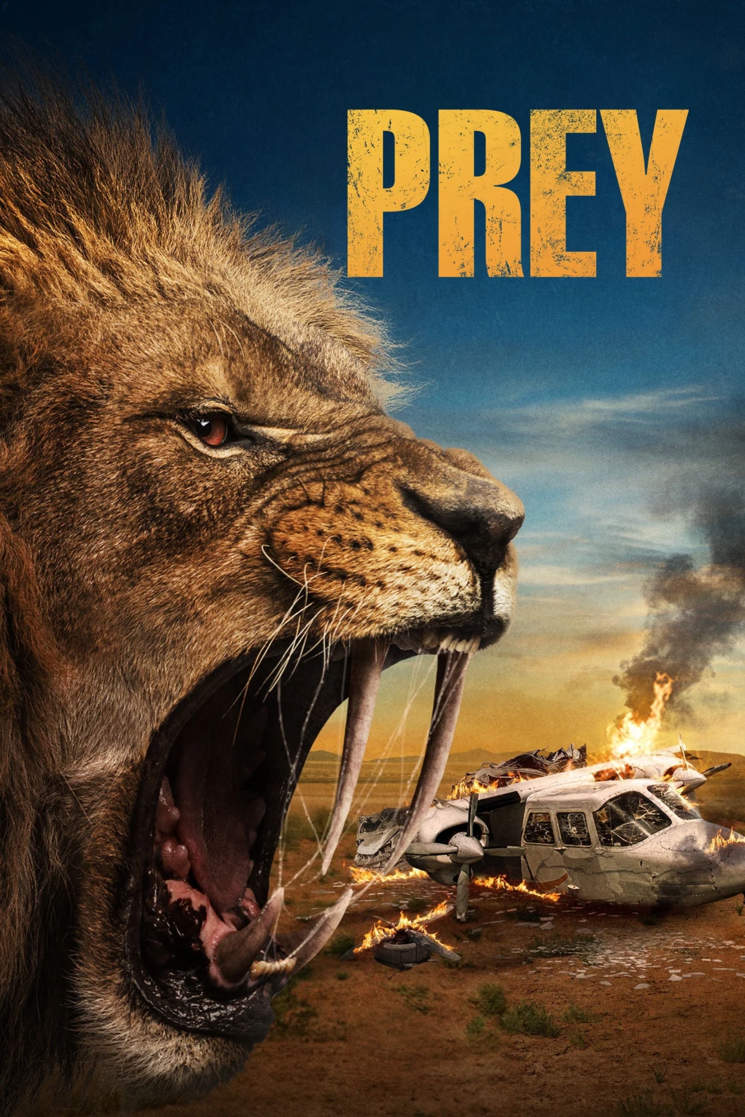 Con mồi (Prey) [2024]
