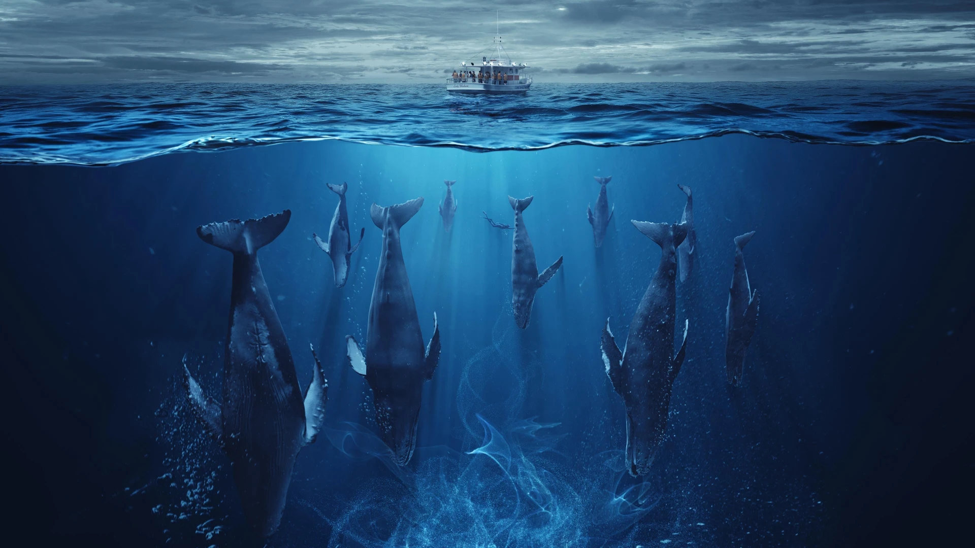 Đại Dương Thức Tỉnh