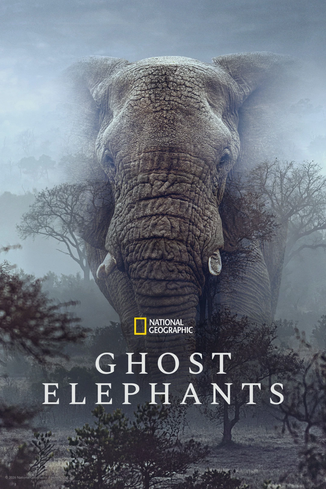 Ghost Elephants (Ghost Elephants) [2026]