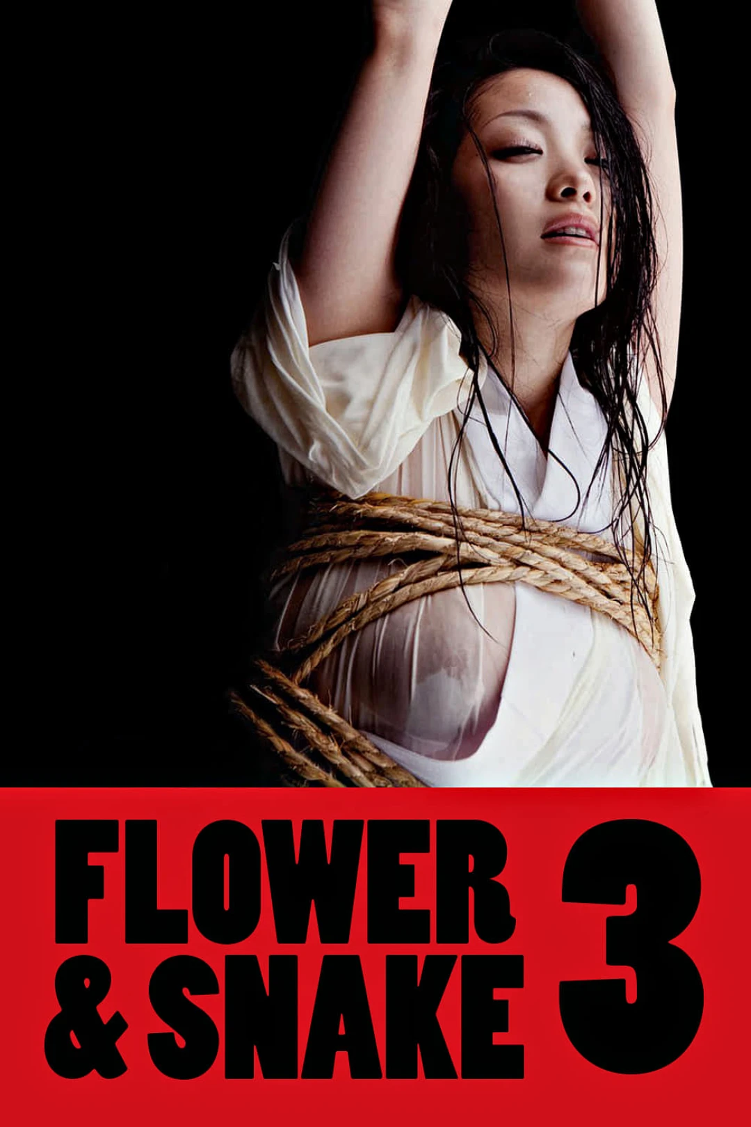 Hoa Và Rắn 3 (Flower & Snake 3) [2010]