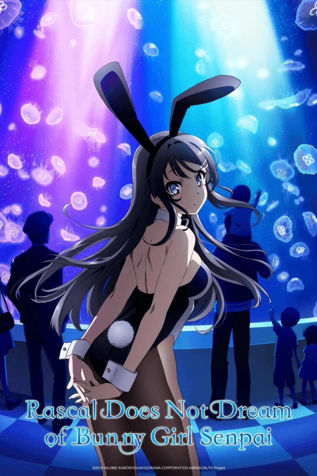 Hội Chứng Tuổi Thanh Xuân (Phần 1) (Rascal Does Not Dream Of Bunny Girl Senpai) [2018]