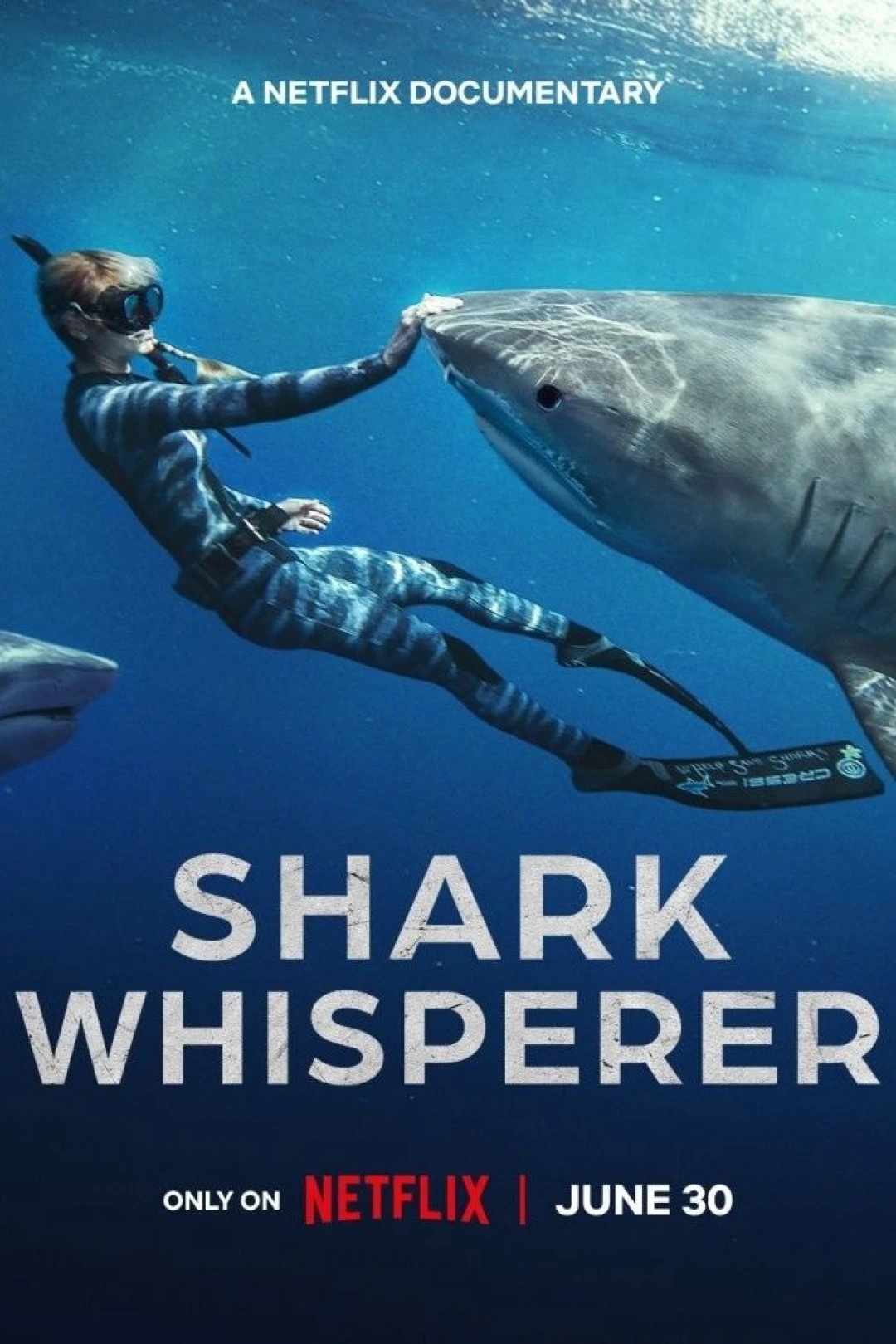 Người bạn của cá mập (Shark Whisperer) [2025]