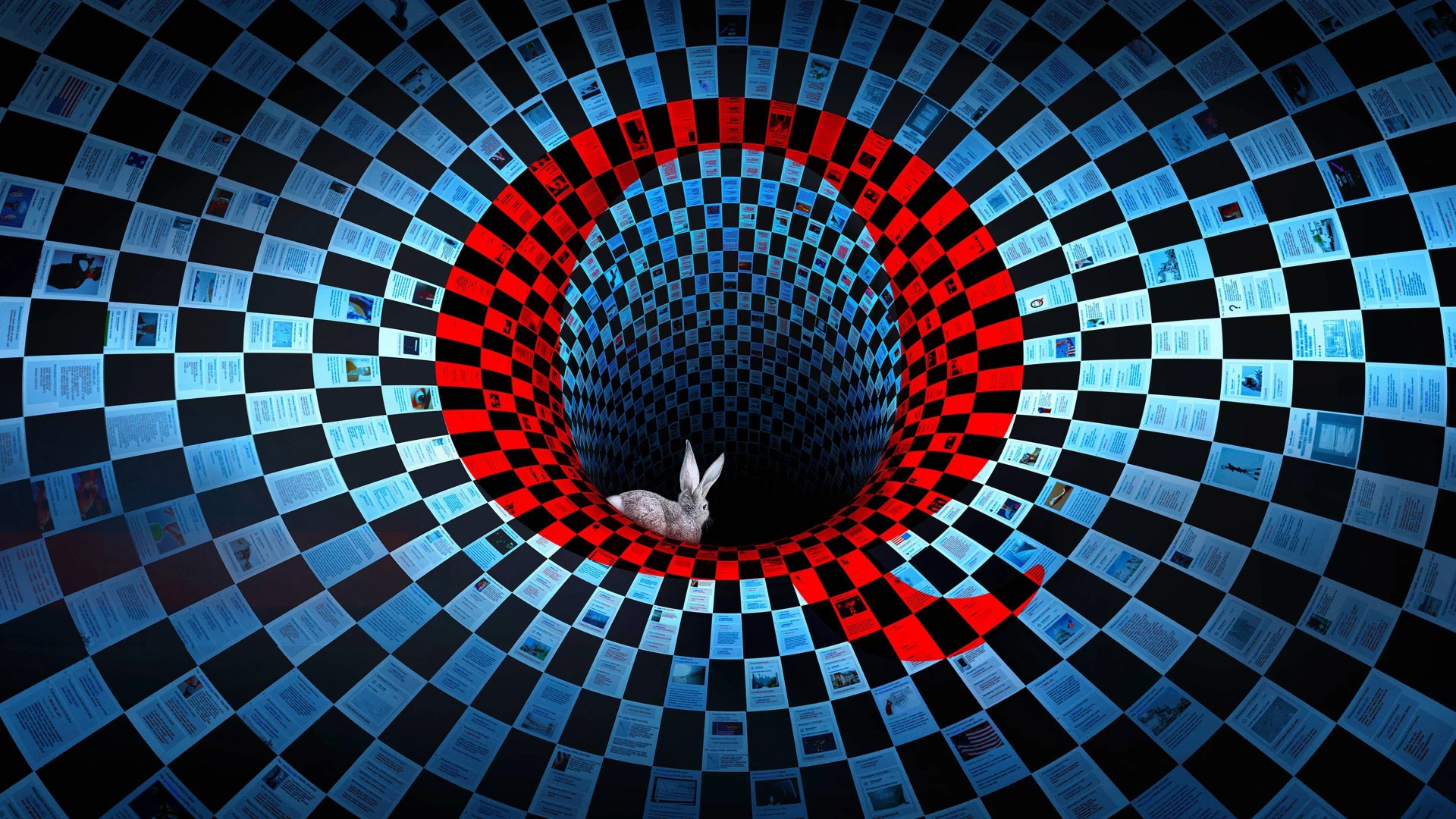 Q: Đi Vào Cơn Bão