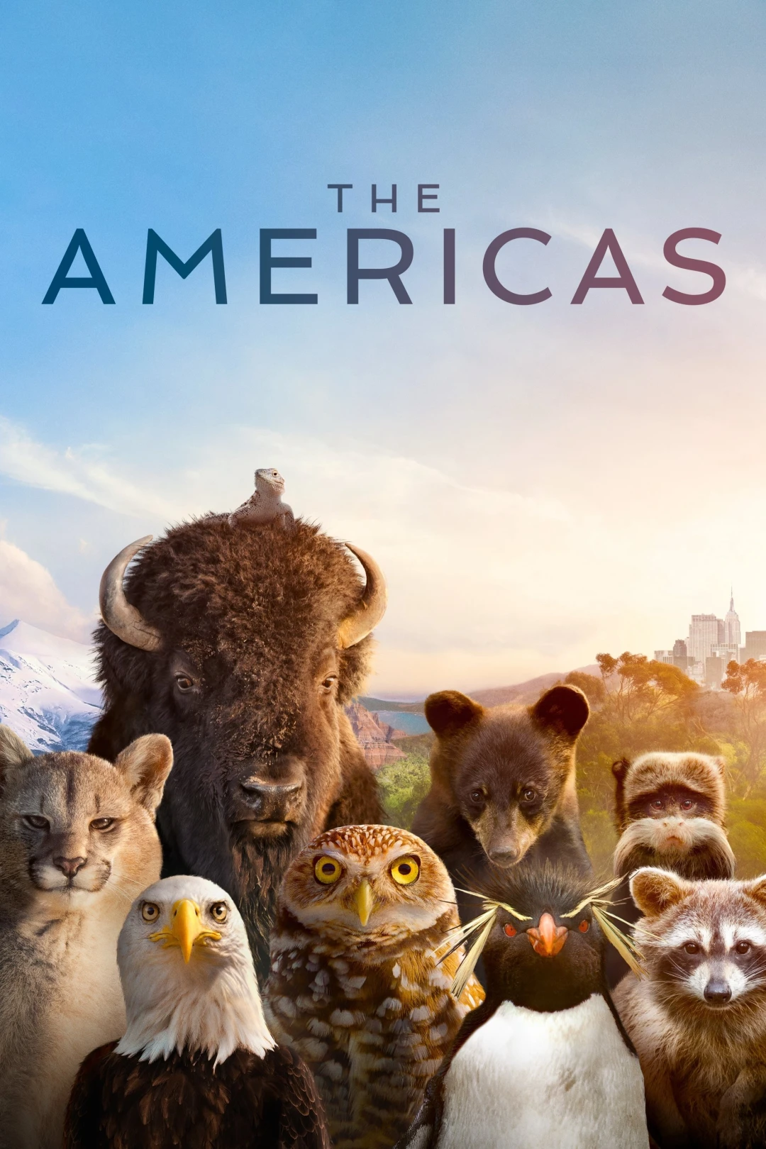 The Americas (The Americas) [2025]