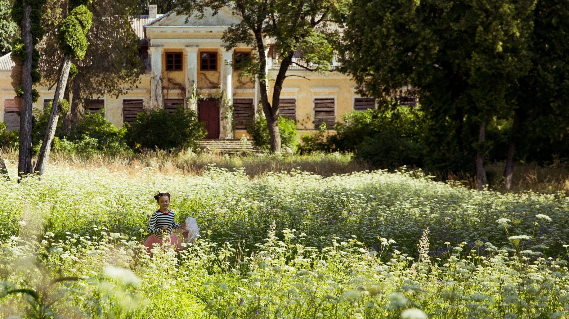 Trái Tim Bươm Bướm